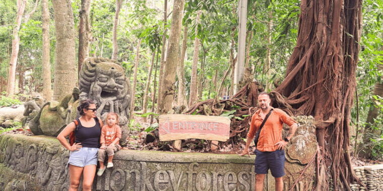 bali-ubud-rice-terraces-monkey-forest-waterfall-tour