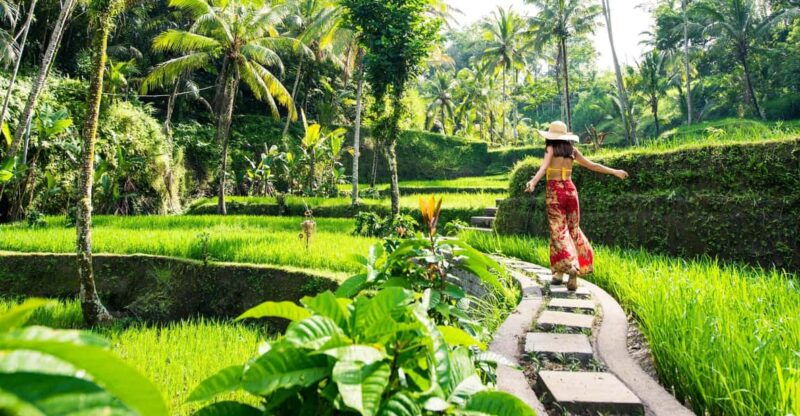 bali-ubud-scooter-tour-purification-rice-terraces-falls