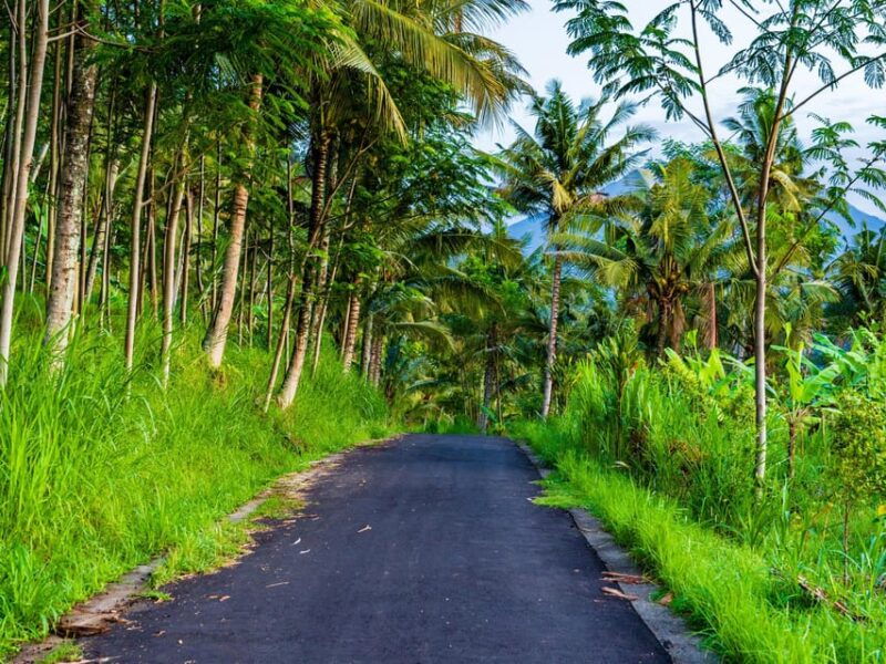 bali-ubud-scooter-tour-purification-rice-terraces-falls