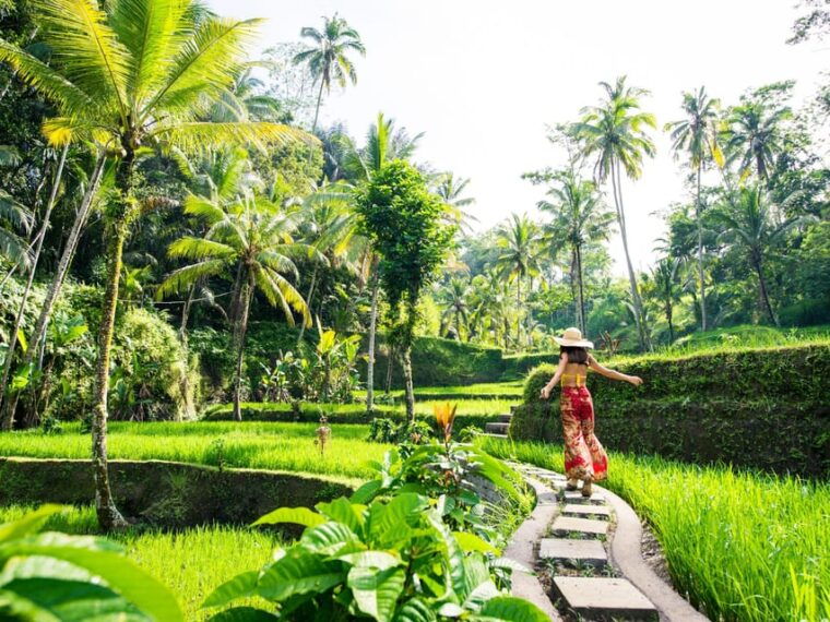 bali-ubud-scooter-tour-purification-rice-terraces-falls