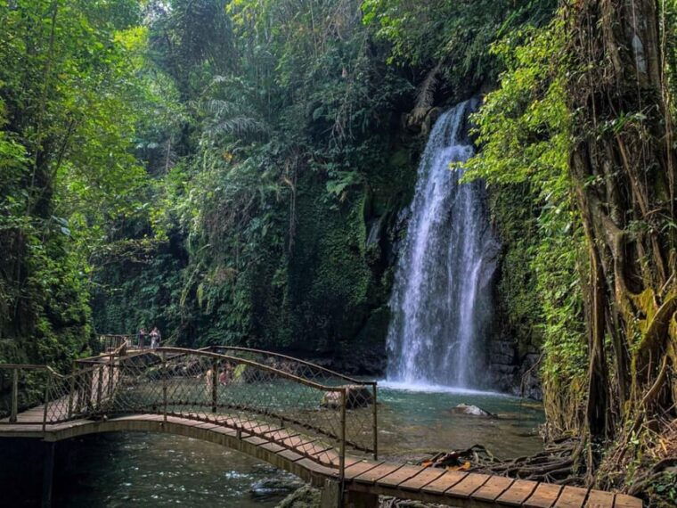 bali-ubud-scooter-tour-purification-rice-terraces-falls