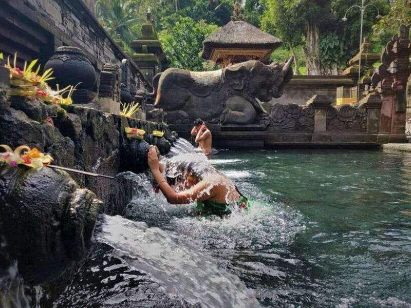 bali-ubud-secret-waterfalls-temple-rice-terrace-tour