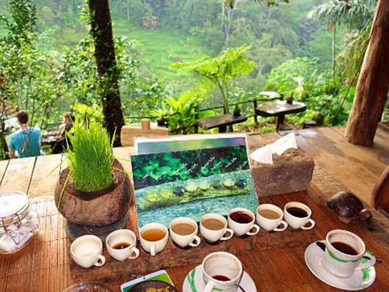 bali-ubud-secret-waterfalls-temple-rice-terrace-tour