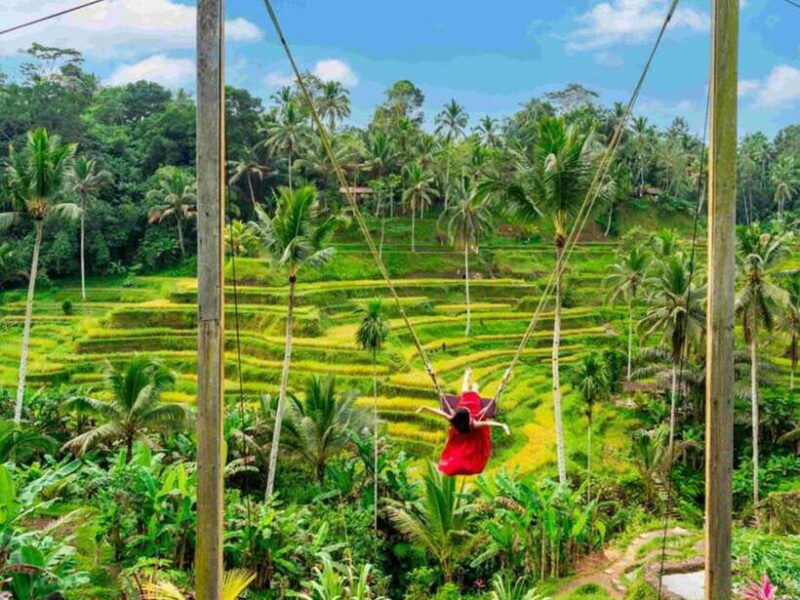bali-ubud-secret-waterfalls-temple-rice-terrace-tour