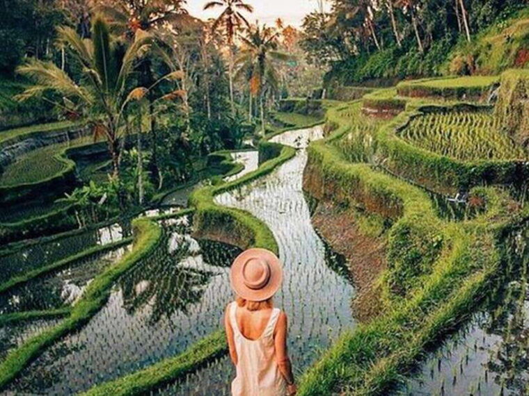 bali-ubud-secret-waterfalls-temple-rice-terrace-tour