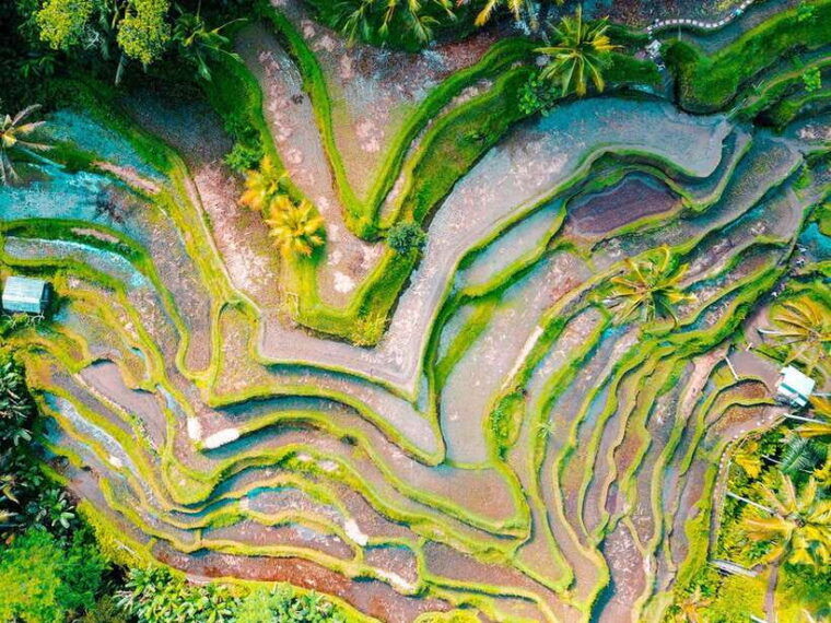 bali-ubud-secret-waterfalls-temple-rice-terrace-tour