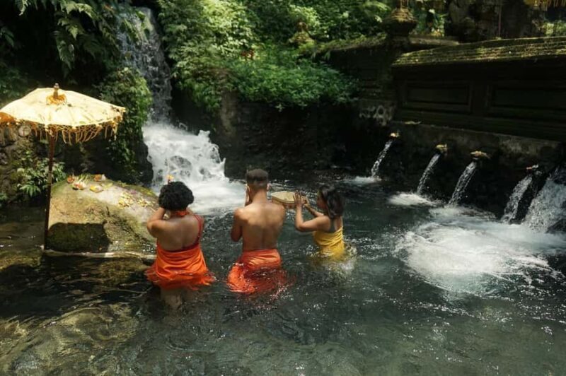 Bali: Ubud Spiritual Cleansing and Meditation Healing Tour - Practical Aspects of the Tour