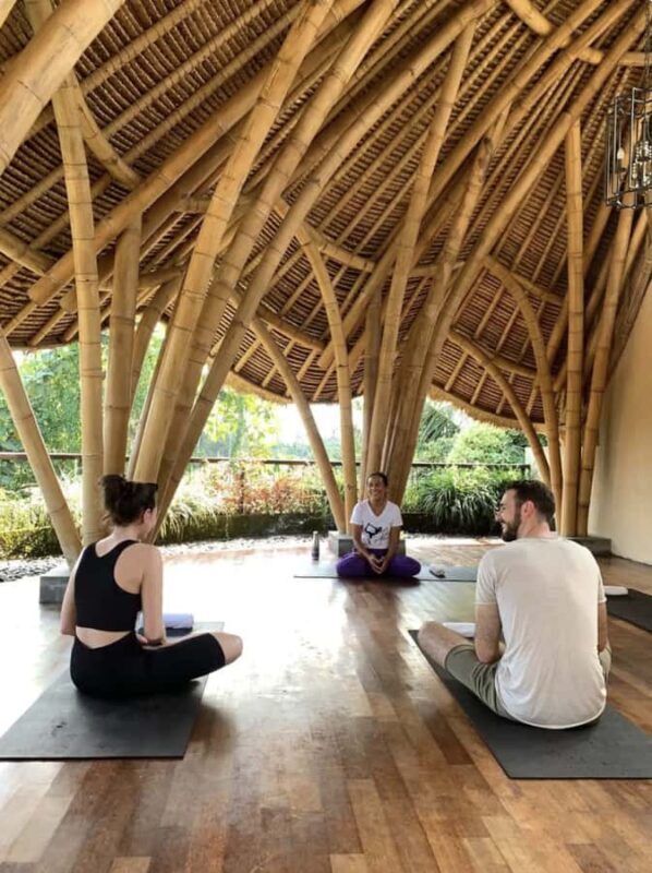 Bali: Ubud Spiritual Cleansing and Meditation Healing Tour - Who Should Consider This Tour?