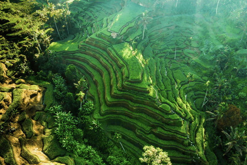 bali-ubud-temple-spring-rice-terraces-waterfall
