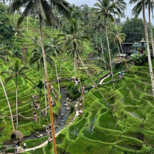 bali-ubud-tour-best-of-ubud-all-inclusive