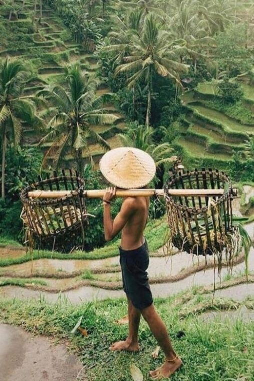 bali-ubud-tour-best-of-ubud-all-inclusive