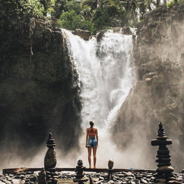 bali-ubud-tour-best-of-ubud-higlight-with-private-transfers