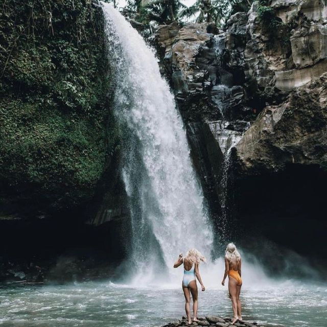 bali-ubud-tour-best-of-ubud-higlight-with-private-transfers