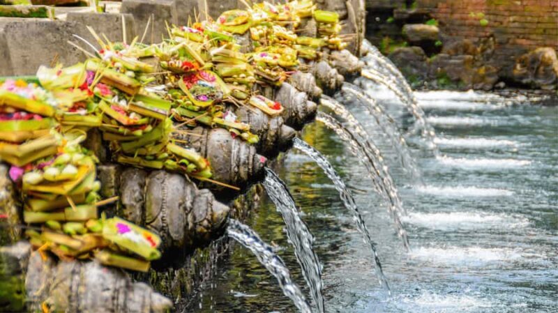 Bali: Ubud Tour with Sacred Monkey Forest & Rice Terraces - Who This Tour Is Best For