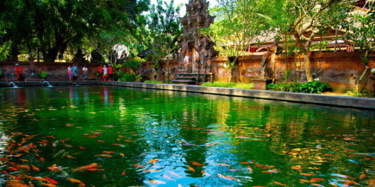 bali-ubud-traditional-balinese-purification
