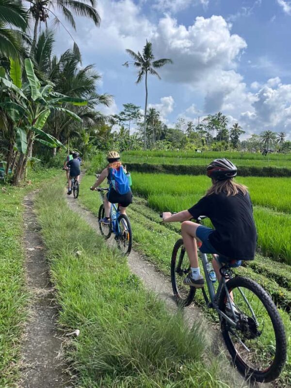 Bali: Ubud Village Cycling Tour with Lunch and Swim - Final Thoughts
