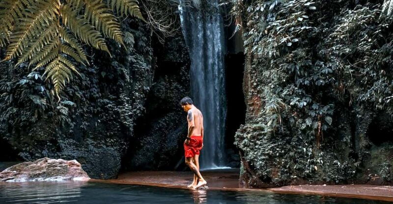 bali-ubud-waterfalls-temple-rice-terraces-tour