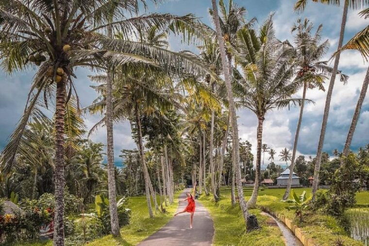 bali-ubud-waterfalls-temple-rice-terraces-tour