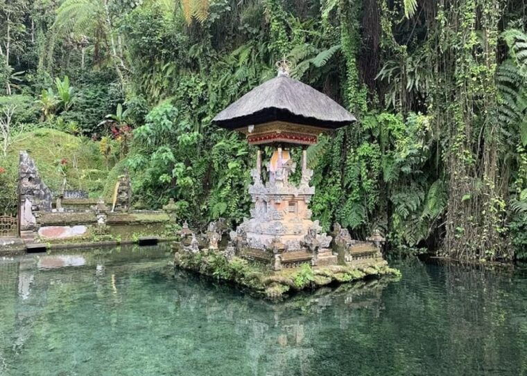 bali-ubud-waterfalls-temple-rice-terraces-tour