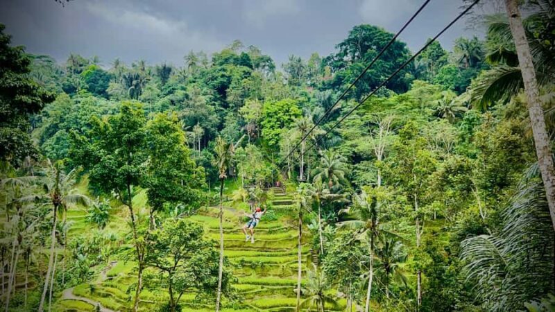 Bali: Ubud Zipline, Goa Raja Waterfall and swing adventure - Final Thoughts: Is It Worth It?