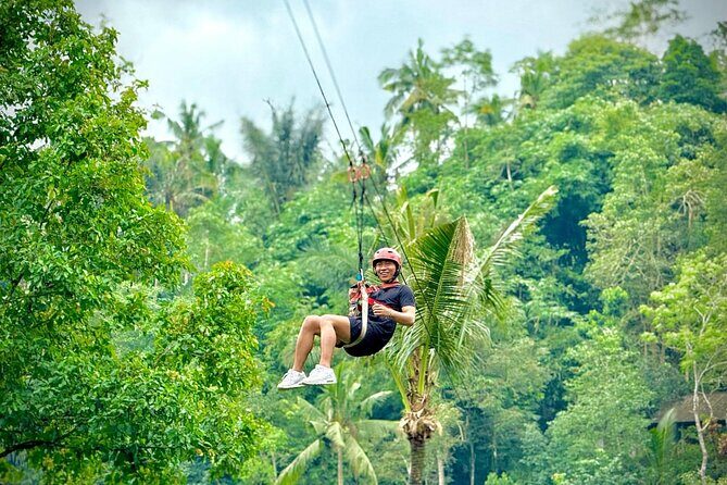 Bali Ubud Zipline, Monkey Forest and Waterfall Adventure - Who Is This Tour Best Suited For?