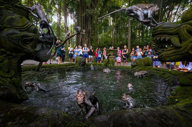 Bali Ubud Zipline, Monkey Forest and Waterfall Adventure - Final Thoughts