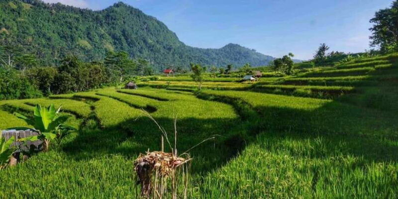 bali-ujung-water-palace-candidasa-and-sidemen-village-tour