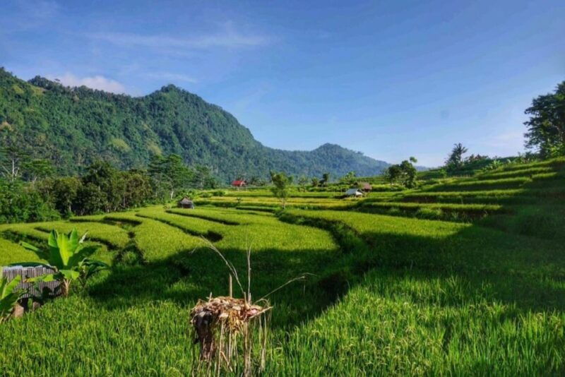 bali-ujung-water-palace-candidasa-and-sidemen-village-tour
