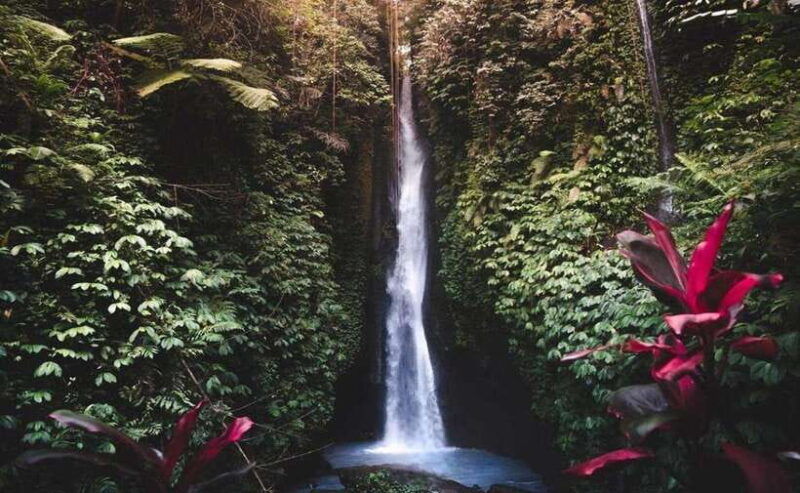 bali-ulun-danu-beratan-temple-and-unesco-rice-terrace-tour