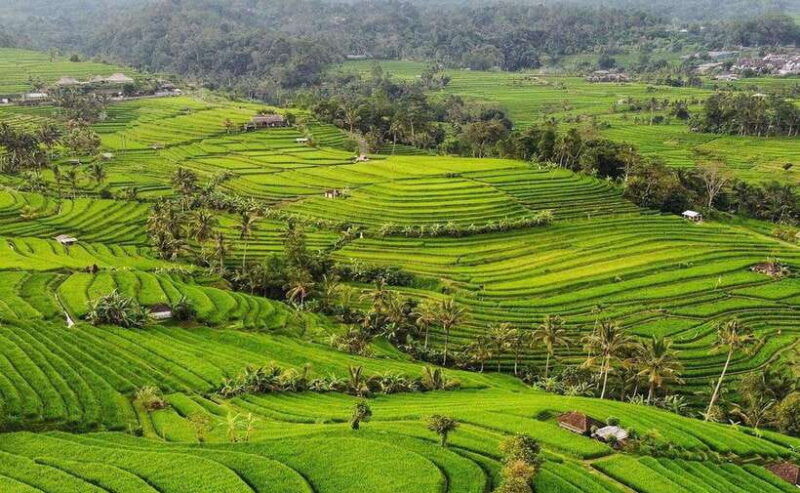 bali-ulun-danu-beratan-temple-and-unesco-rice-terrace-tour