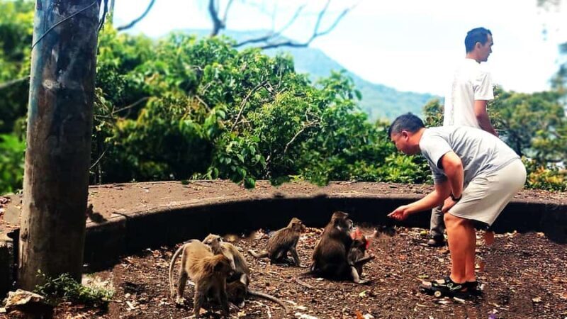 Bali: Ulun Danu Temple, Waterfall, and Twin Lakes Tour - Exploring the Route and Stops