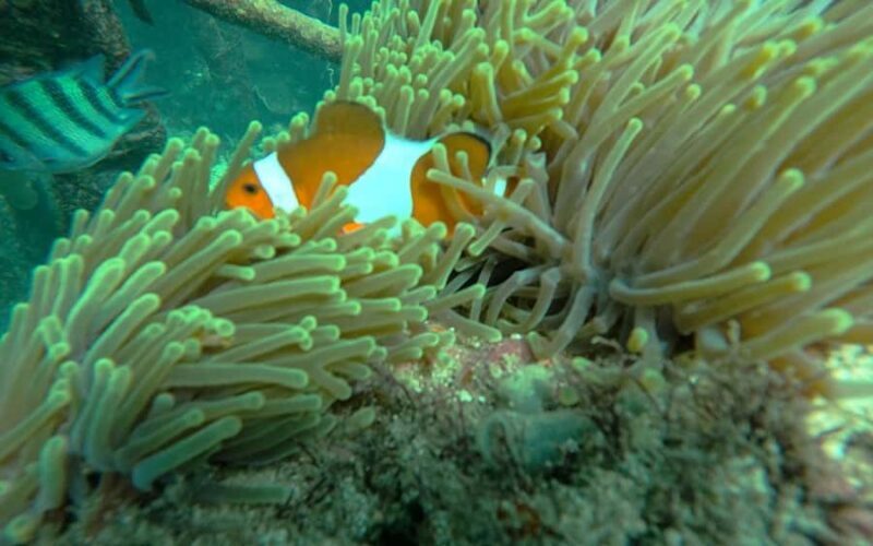 Bali: Uluwatu Private Tour with Kecak Dance Show - Who Will Love This Tour?