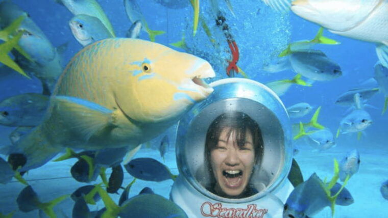 bali-underwater-sea-walk-uluwatu-temple-and-kecak-dance