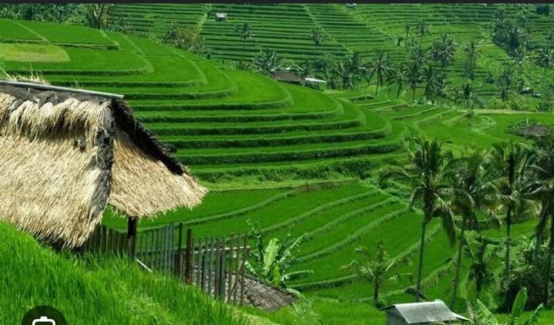 Bali: Unesco Tour with Batur Karu Temple & Jatiluwih - Introduction to the Tour Experience