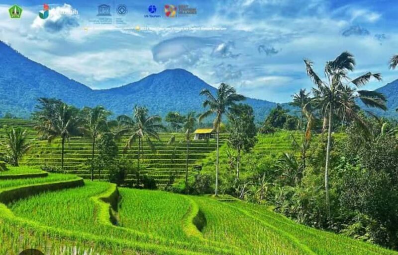 Bali: Unesco Tour with Batur Karu Temple & Jatiluwih - The Experience Provider and Customer Feedback