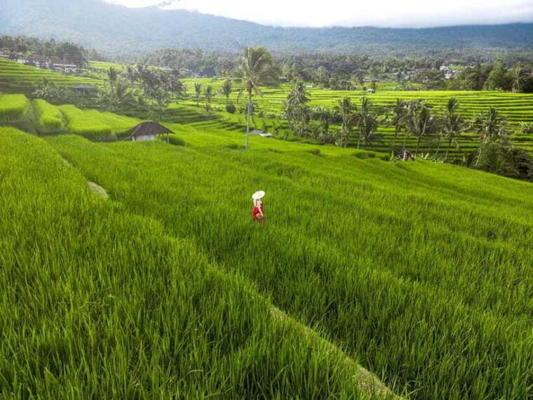 bali-unesco-world-heritage-sites-tour