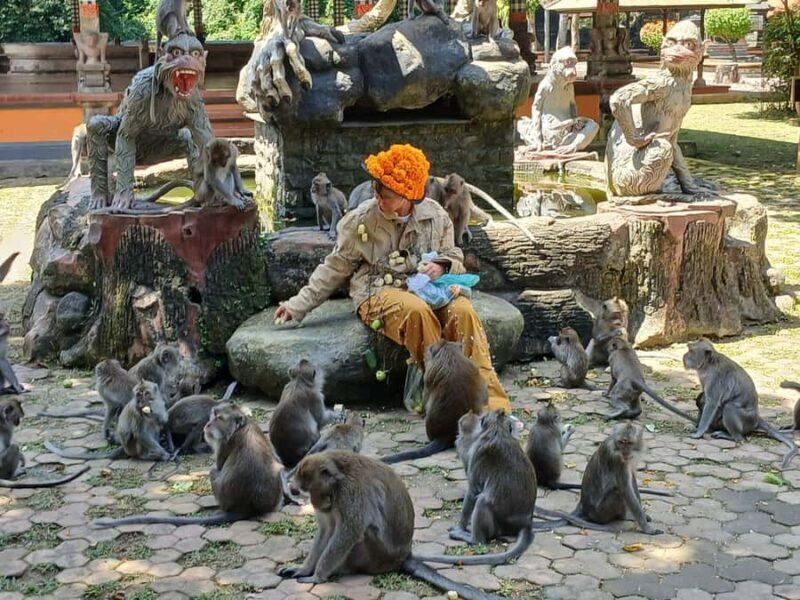 Bali: UNIQUE ACTIVITY OF FEEDING MONKEYS - What Makes This Experience Special?