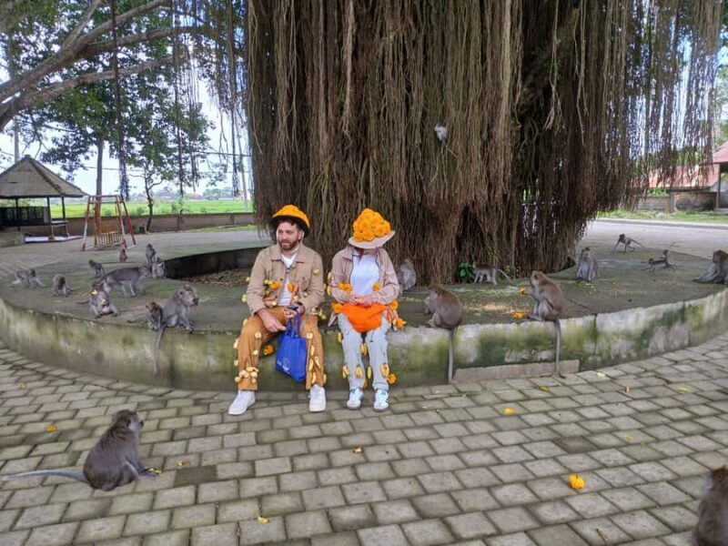 Bali: UNIQUE ACTIVITY OF FEEDING MONKEYS - How Does It Compare to Similar Experiences?