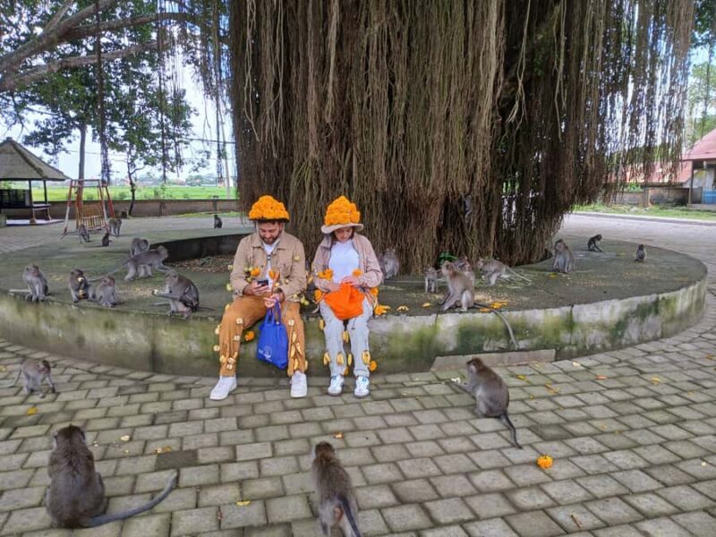 Bali: UNIQUE ACTIVITY OF FEEDING MONKEYS - Who Might Want to Consider Other Options?