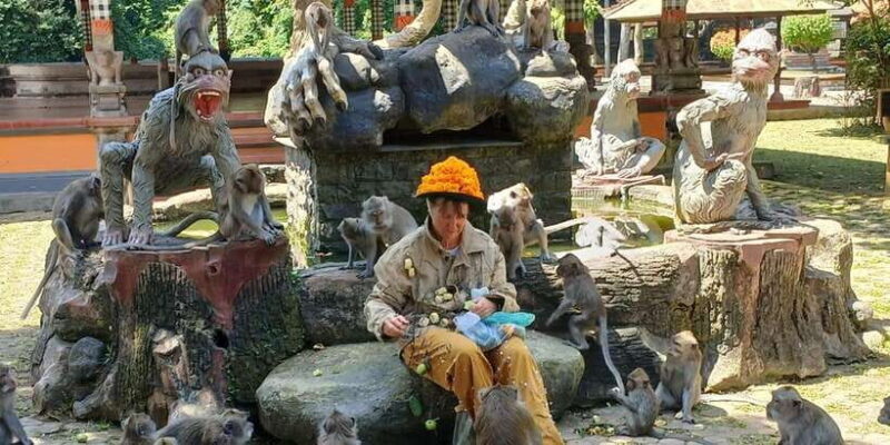 Bali: UNIQUE ACTIVITY OF FEEDING MONKEYS - The Sum Up
