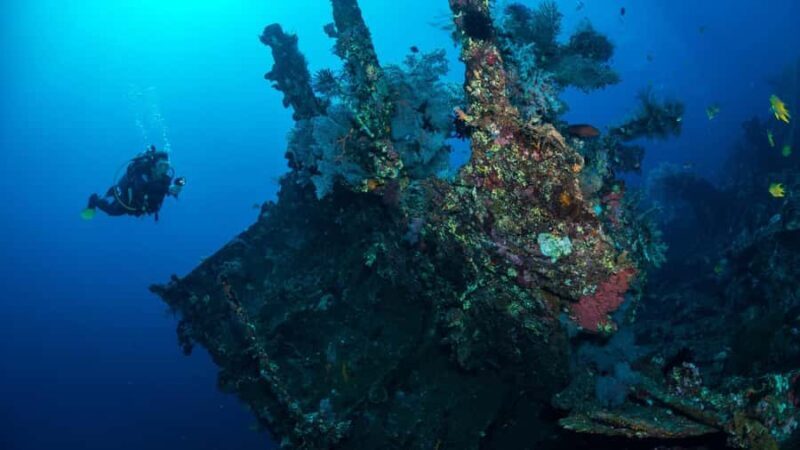 BALI: USAT SHIPWRECK DIVE WITH HOTEL TRANSFERS & LUNCH - Key Points
