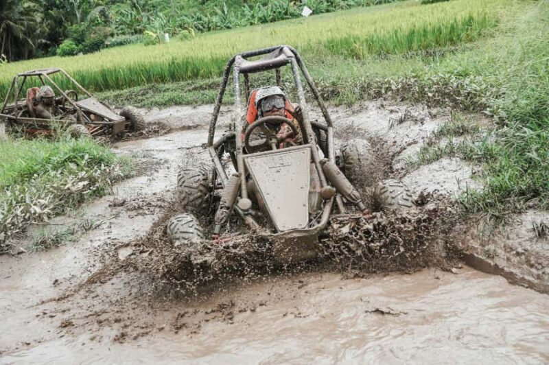 Bali: UTV Adventure & River Bath at a Natural Waterfall - Who Will Love This Tour?