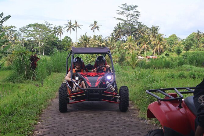 Bali UTV Buggy Adventure Ubud - What Is the Bali UTV Buggy Adventure All About?