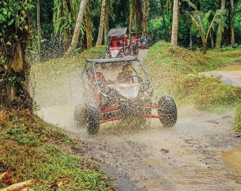 Bali: UTV Buggy and Zipline Adventure with Meal - What to Expect: Details and Practical Tips