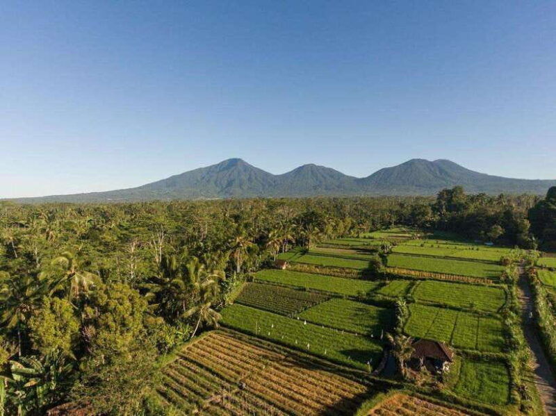 bali-village-cultural-tour-with-cooking-class