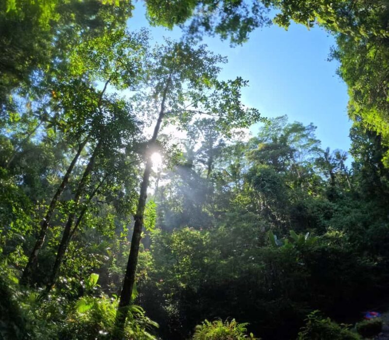 Bali: Village Cycling, Farm Tour & River Tubing in Ubud area - FAQs