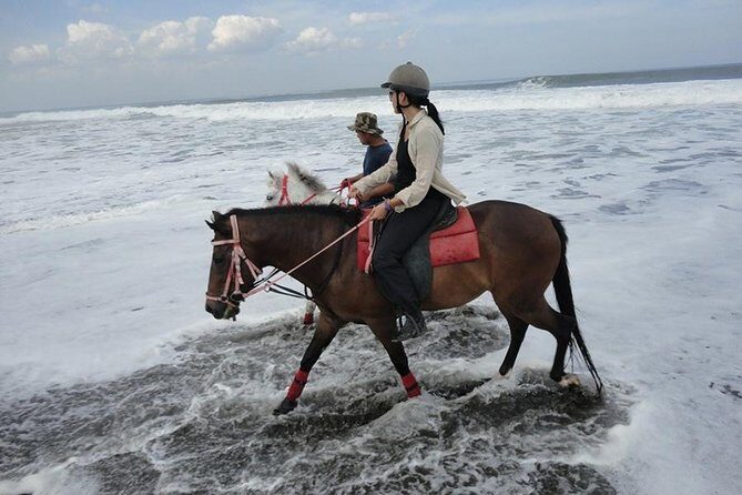 Bali Village Experience Horse Ride - What is Included and Not Included