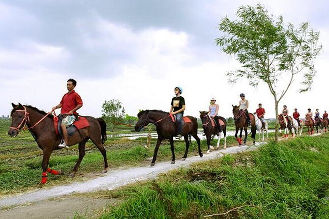 Bali Village Experience Horse Ride - Authentic Tips from Past Participants