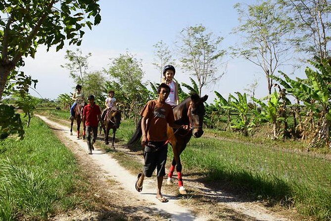 Bali Village Experience Horse Ride - The Sum Up