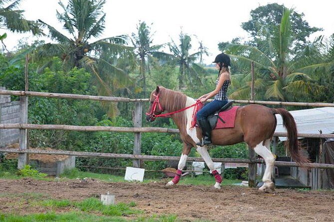 Bali Village Experience Horse Ride - Frequently Asked Questions